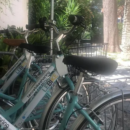Bed & Breakfast Domus Salento & Con Parcheggio Privato In Loco
